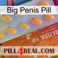 Big Penis Pill 43